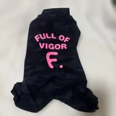 フルオブビガー迷彩柄ラッシュガードDML