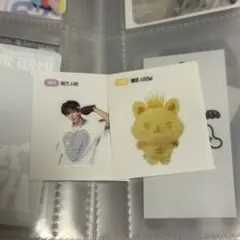 NCTWISH COLOR MD シオン シオニン ステッカー シール