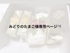 みどりのたまご様専用ページ