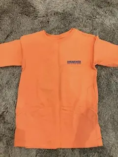 パタゴニア　キッズ　Tシャツ