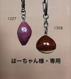はーちゃん様・専用