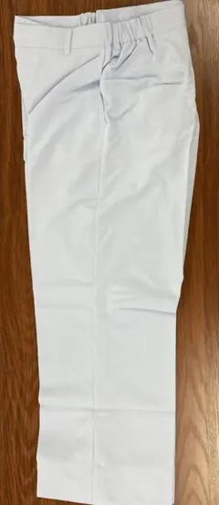 Item thumbnail for item f8f2a9f5-3d6c-446c-9f91-348a4daa9f88