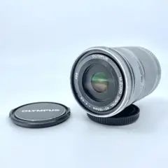 Item thumbnail for item dd165b45-dafa-4d3a-8a9e-3ce455be1b94