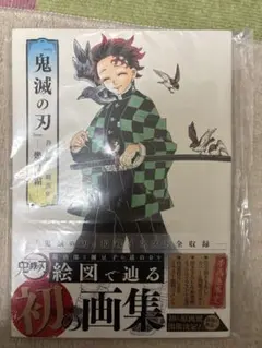 鬼滅の刃—幾星霜—吾峠呼世晴画集