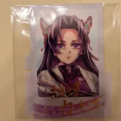 鬼滅の刃 胡蝶カナエ チェキ風ブロマイド WEBショップくじ