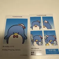 サンリオ　証明写真風スマロイド