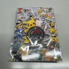 2025年最新】ポケモンセンタートウキョーDX ロゴピンズの人気