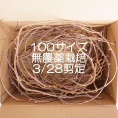 Item thumbnail for item e885c01f-85f5-4453-9659-9a4a317d8849