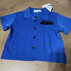 Item thumbnail for item 8026f3f2-10cd-44f0-8d50-cadfa52c3394