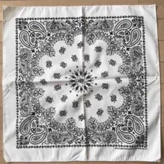 HAV-A-HANK ペイズリーバンダナ White