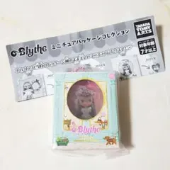 ♥️【8008】Blythe ミニチュアパッケージコレクション