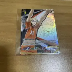 ハイキュー 月島蛍 バボカ BREAK 最強の挑戦者 頂