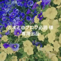 ♡ とまと@プロフ必読 様 専用出品 ♡