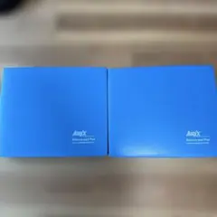 エアレックスマット バランスパッドエリート AIREX Plus 2枚セット