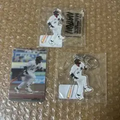 千葉ロッテマリーンズ 宮崎竜成 MARINES NATION グッズセット