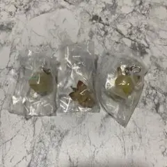 ポケピースめじるしアクセサリー ピカチュウ　ピチュー モクロー 3つセット