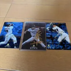 カルビープロ野球チップスカード 阪神タイガース 15枚セット - メルカリ