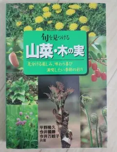 Item thumbnail for item 79fab3ab-3b0b-4274-970d-a85c8b4ca63e