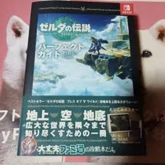 ゼルダの伝説 ティアーズ・オブ・ザ・キングダム パーフェクトガイド