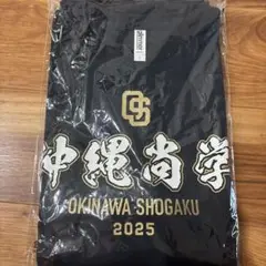 沖縄尚学 2025年モデル ユニフォーム Lサイズ