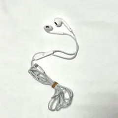 Apple純正イヤホン ライトニングイヤホン