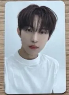 2026年最新】ヨントントレカの人気アイテム - メルカリ