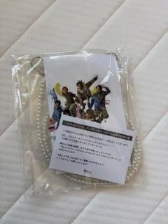 パルクロすっきゃねんず ストラップ付マルチケース ポーチ