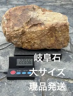 岐阜石　現品発送　大サイズ　22.6kgドライガーデン　庭石　みかも石　アガベのサムネイル