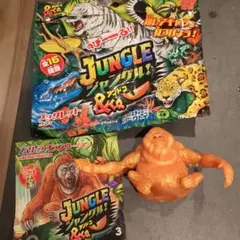 JUNGLEアンドコー