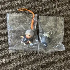 【未使用品】ハイキュー菅原孝支◇ハイキューピー＆つながるヒナガラス