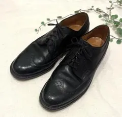 【極美品】REGAL インペリアルグレード ウィングチップ シボ 2235