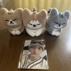 straykids celebrATE リノ メンプロ スンドゥンドリ