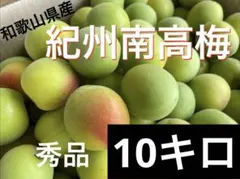 NAGOMIの小梅『yadokari様専用』10kg - メルカリ