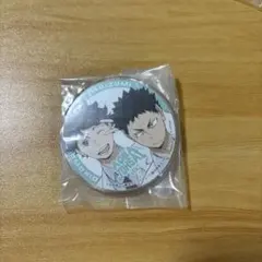 ハイキュー 及川 岩泉