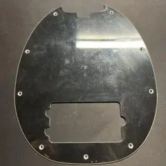 Item thumbnail for item 870e40b7-308b-4012-b107-0bde6307bb59