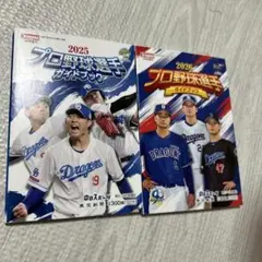 2008年〜2012年プロ野球選手ガイドブック 中日ドラゴンズ - メルカリ