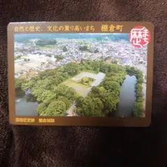 Item thumbnail for item 8c098dd6-accb-4c1a-80fa-57bafed946ae