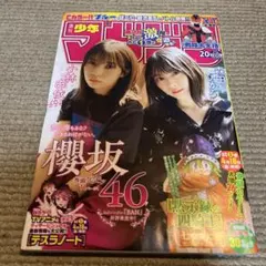 Item thumbnail for item 3a22a75d-a0e3-4875-a0e4-0146f5f72f3f