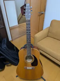 2026年最新】seagull s6の人気アイテム - メルカリ