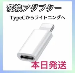 ⭕️タイプⅭ→ライトニング 変換アダプター白 typeⅭ iPhone充電 u