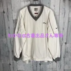 Item thumbnail for item 7a2f1ac2-5a8b-4e09-87b9-1ee622f507e6