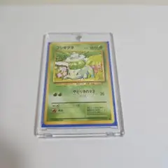 超希少】ポケモンカード 旧裏 初版,マークなし No,001フシギダネ