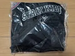 【抜けなし】StrayKids アプグレグッズ 5/17静岡エコパ スキズ
