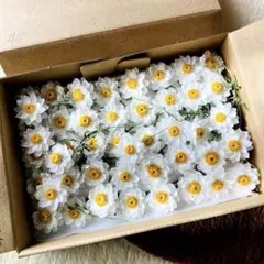 Item thumbnail for item fc69730d-77c7-4484-8429-7750b11aadff