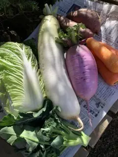 ミロク様専用ページです