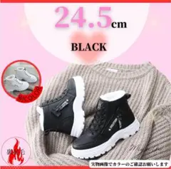 Item thumbnail for item 035bfb15-2fe0-427c-a100-a69abafa4d3c