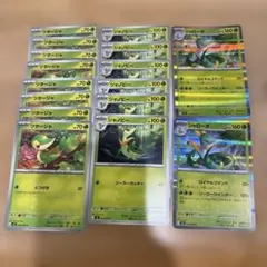 ポケカ ムニキスゼロ ツタージャ ジャノビー ジャローダ 16枚セット