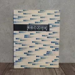 美術の20世紀 豊かなる表現 図録 静岡県立美術館・滋賀県立近代美術館
