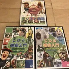 こびとづかんDVD 3枚セット