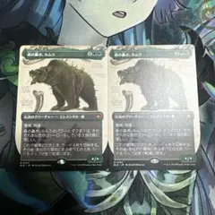 MTG 森の轟き、ルムラ ボーダーレス 2枚セット 楽天市場】【FOIL/ボーダーレス版】マジックザギャザリング BLB JP